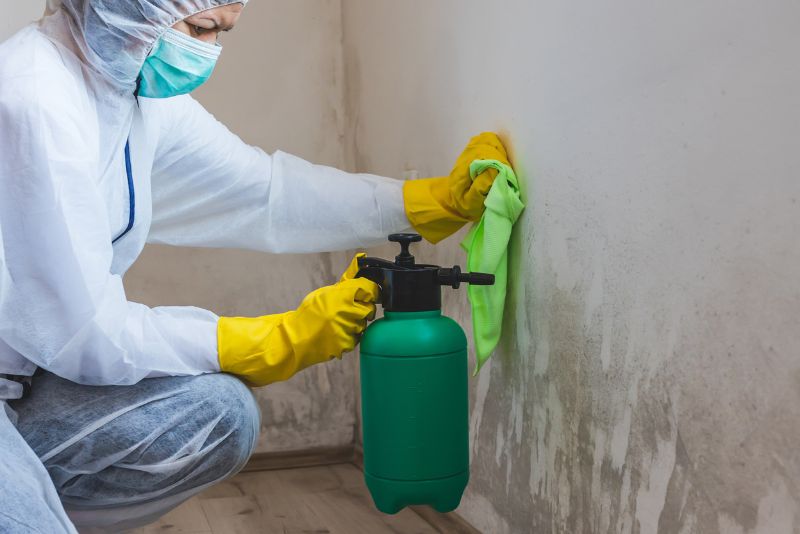 A photo of mould being removed